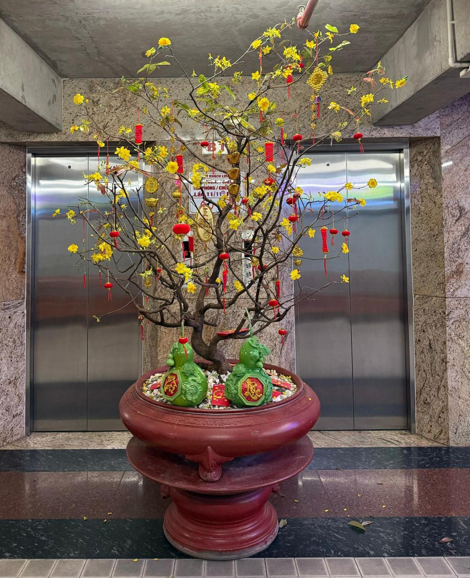 Thien Tai Hotel Ho Si Minh-város Kültér fotó